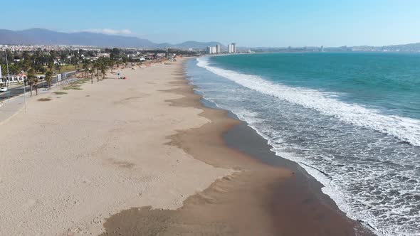 Birds on the pacific ocean coast beach (Coquimbo, Chile) aerial view