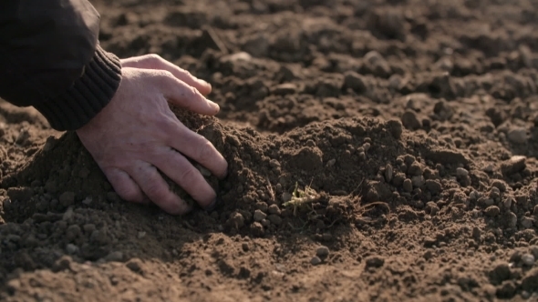 Farmer Hands Holding And Pouring Back Organic Soil