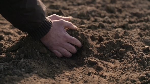 Farmer Hands Holding And Pouring Back Organic Soil. Soil, Agriculture, Sunlight.