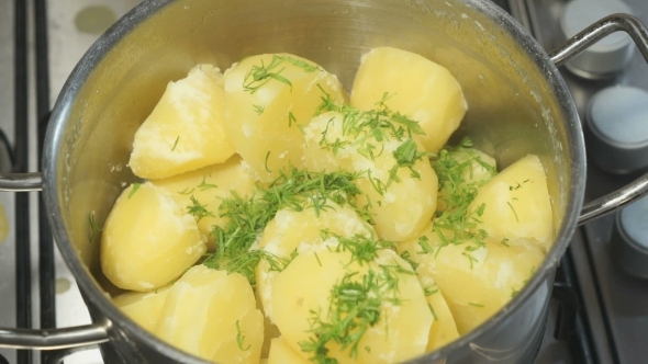 Cooking Boiled Potatoes With Dill In a Saucepan