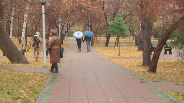 Couple Walking In The Park