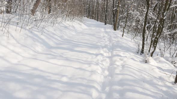 Scene in the frozen forest  3840X2160 UHD video - Beautiful white winter snowed hills  4K 2160p 30fp