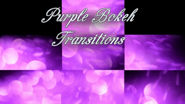 Purple Bokeh Transitions