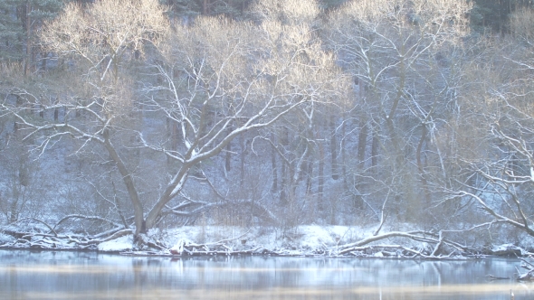 Sunny Mood Smoke Over The River