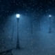 Night Winter Snowfall - VideoHive Item for Sale