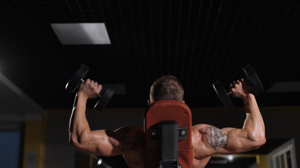 Portrait Of a Fitness Man Doing Exercises With Dumbbells At Gym