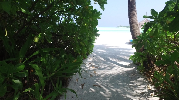 Palapa And Sunbeds By Sea On Maldives Beach 6