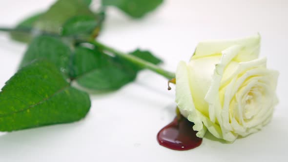 Bleeding White Rose