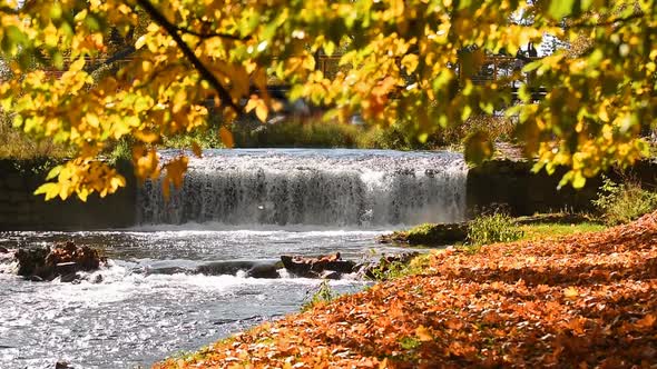 River In Autumn