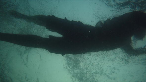 Undrwater Shot Of A Man Swim In The Sea