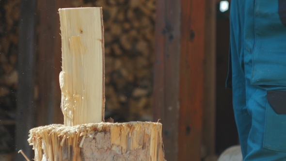 Two Logs Being Splitted ,Detail