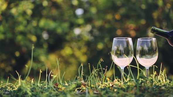 Red Wine Poured Into Glass.