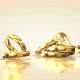 Falling Wedding Rings 2 - VideoHive Item for Sale