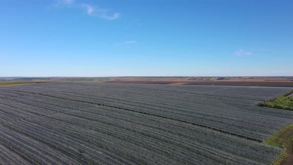 Aerial view of plastic greenhouse on apple orchard, Plant cultivation in organic farming