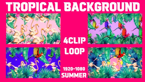 Tropical Background Loop 4Clip alt