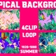 Tropical Background Loop 4Clip - VideoHive Item for Sale
