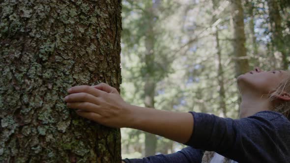 Woman with dreadlocks Touching  large pine tree in forest. Loving Nature.