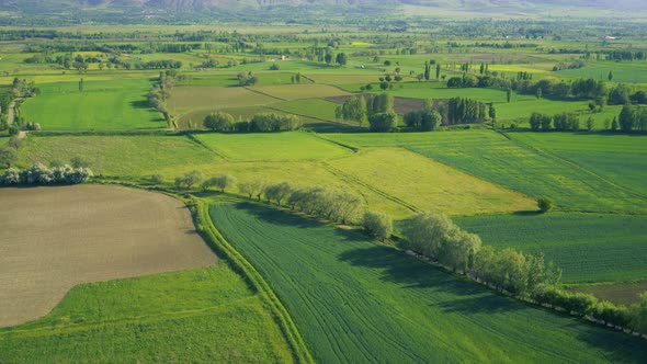 Agricultural Aerial View