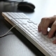 Male Hands Typing On The Keyboard - VideoHive Item for Sale