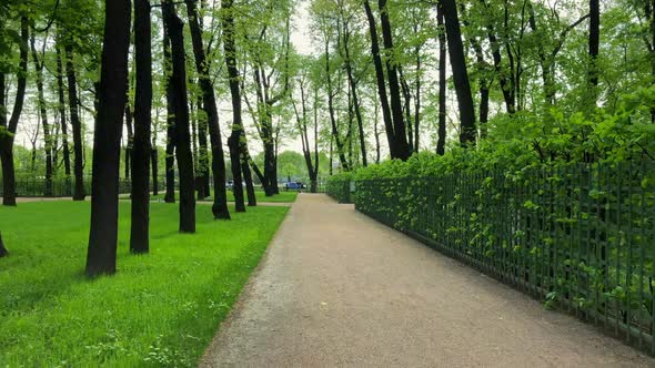 Walking Under Trees Along a Green Hedge