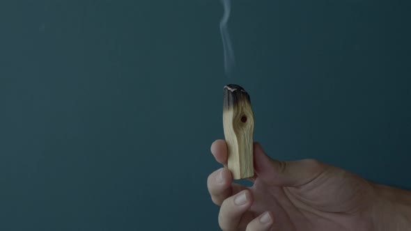 Hand holding a burning Palo Santo incense and takes it off the scene. Static