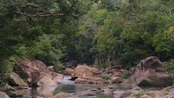 River In The Tropical Jungle