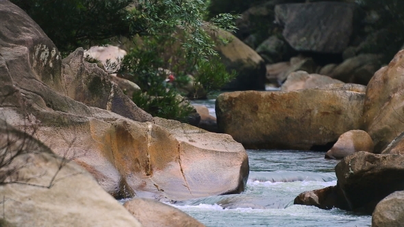 Rapid River In The Tropical Jungle