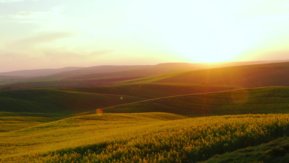 Sunset over Rapeseed Fields