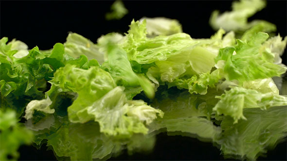 Lettuce alt