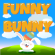 Funny Bunny - CodeCanyon Item for Sale