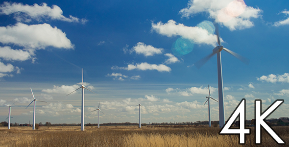 Field of Windmills