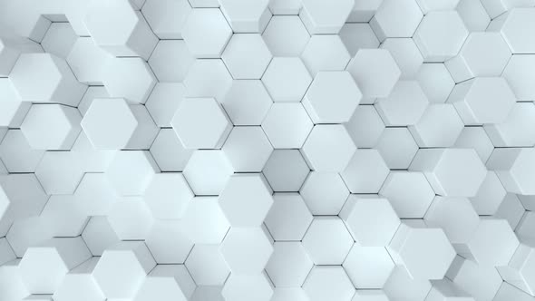 Abstract honeycomb geometric white background modern animation 4k video