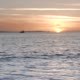 Trawler and Boats Fishing at Sunset - VideoHive Item for Sale