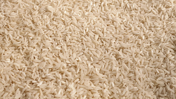 Rice Grains Rotating