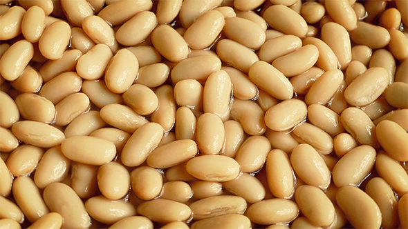 White Kidney Beans Rotating alt