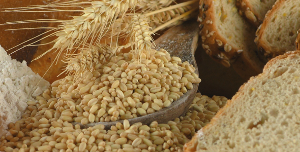 Delicious Mixed of Bread Concept 6