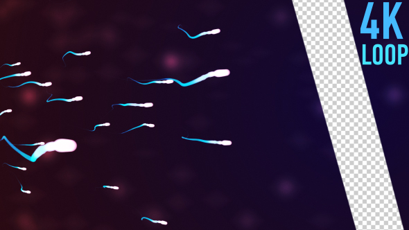 Sperm Swimming Pack alt