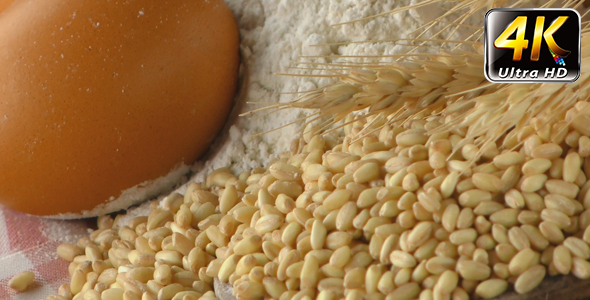 Delicious Mixed of Bread Concept 9 alt