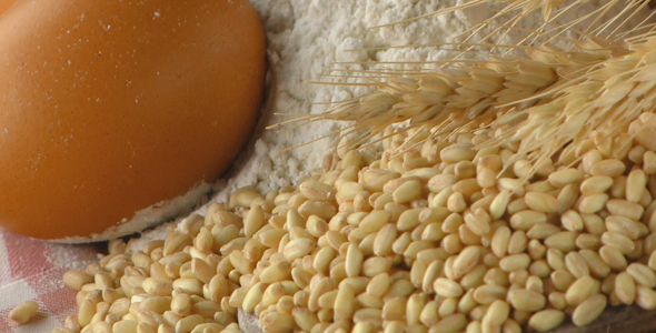 Delicious Mixed of Bread Concept 9 alt