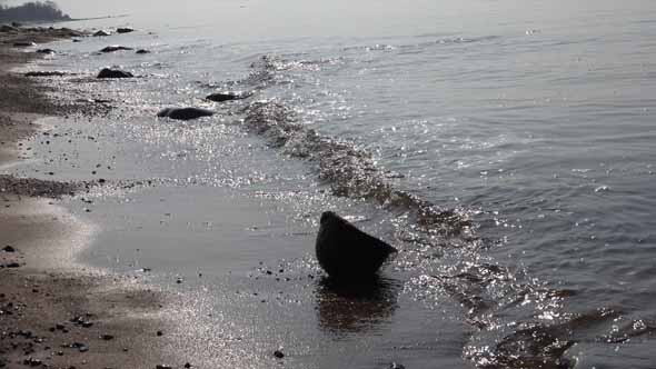 US Military Helmet 24 alt