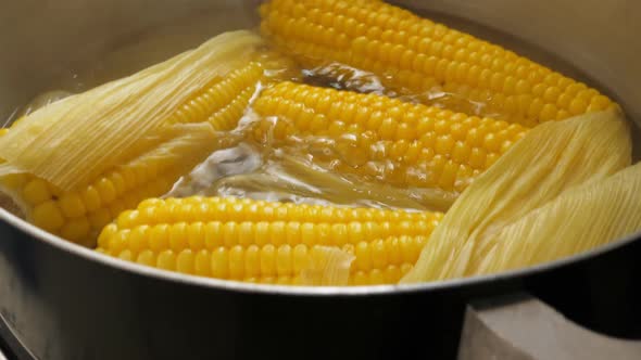 Boiling Corn at the Pan