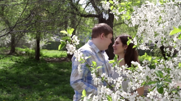 Loving Couple Walking In a Park Near a Blossoming Tree In The Spring