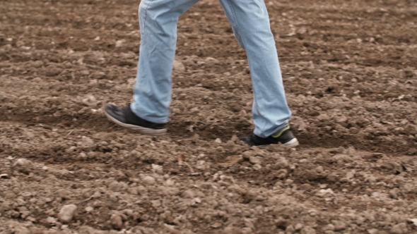 Farmer Walking On Farm Land, Planning New Seeding Season