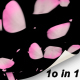 10 Floating Sakura Petals - VideoHive Item for Sale