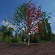 high poly tree - 3DOcean Item for Sale