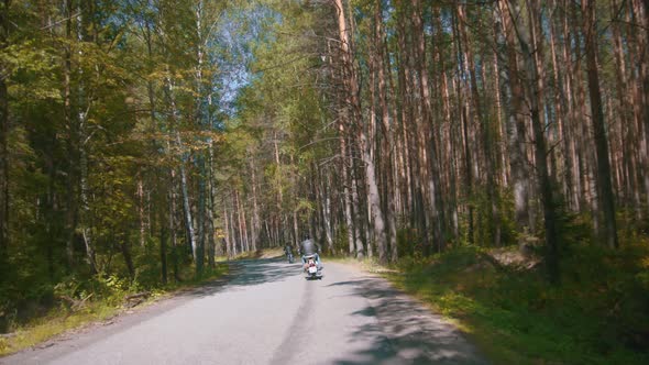 Two Motorcyclists Riding Their Motorbikes in the Coniferous Forest