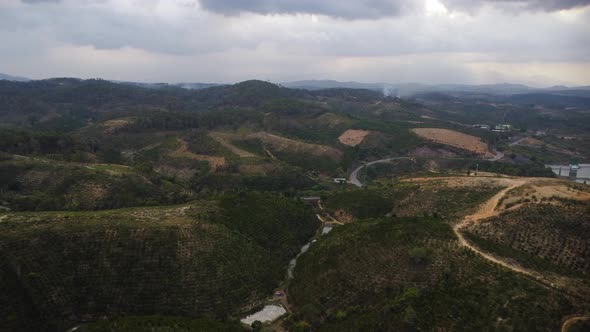 Aerial drone shot over green coffee plantation over hilly terrain in Tanang, vietnam on a cloudy day