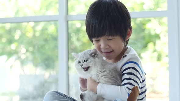 Cute Asian Child Hugging And Holding Kitten Slow Motion