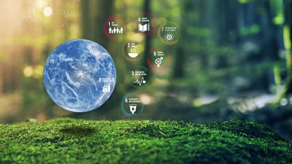17 Global Goals Concept Photo Realistic Earth Plexus Design In Moss Forrest Background