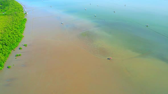 An aerial view from a drone flying over the coastal mangrove forests